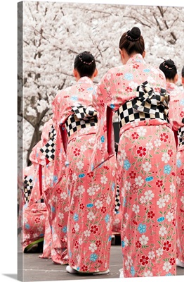 Japanese dancers in traditional costumes celebrate cherry blossom spring festival