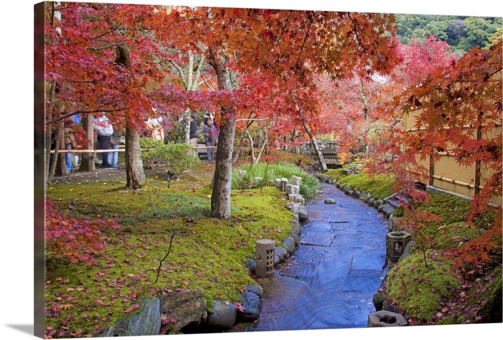 Small water flow in Japanese garden in autumn at, Kyoto.