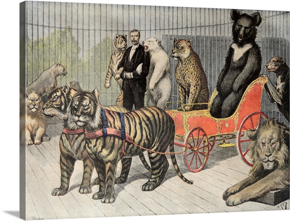 A Fanciful Image of Circus Animals inluding Tigers and Bears in a Cage at the Jardin d'Acclimatation Paris Zoo (1895)