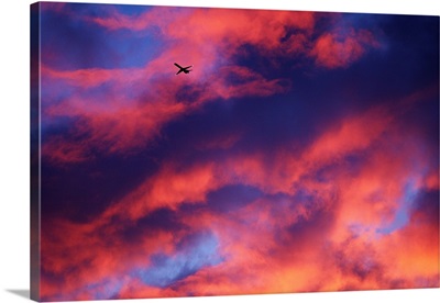 Jet Among Clouds At Sunset