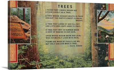 Joyce Kilmer Trees Poem, Forest