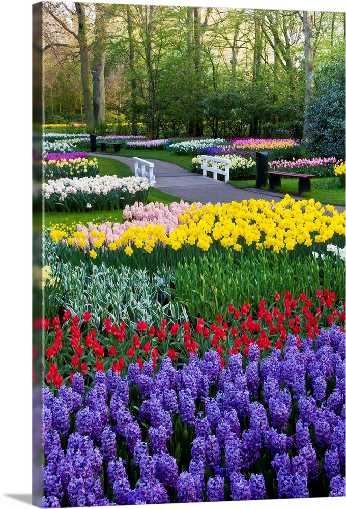 Keukenhof Gardens in full display near Lisse in springtime bloom