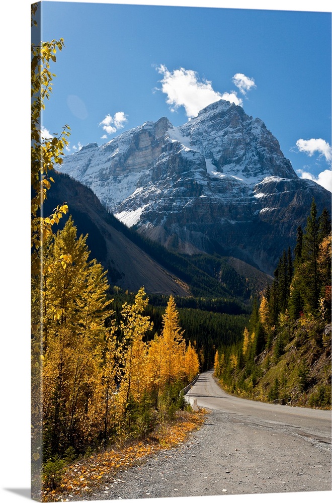 Snow capped mountain and winding road in Kicking Horse in Canadian Rockies.