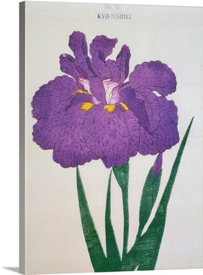 Kyo-Nishiki Book Illustration Of A Purple Iris