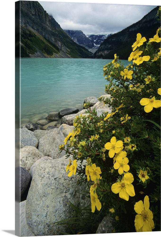 'Lake Louise, Banff National Park'