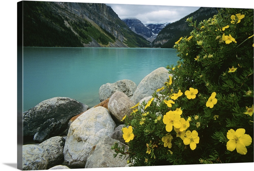 Lake Louise  Banff National Park