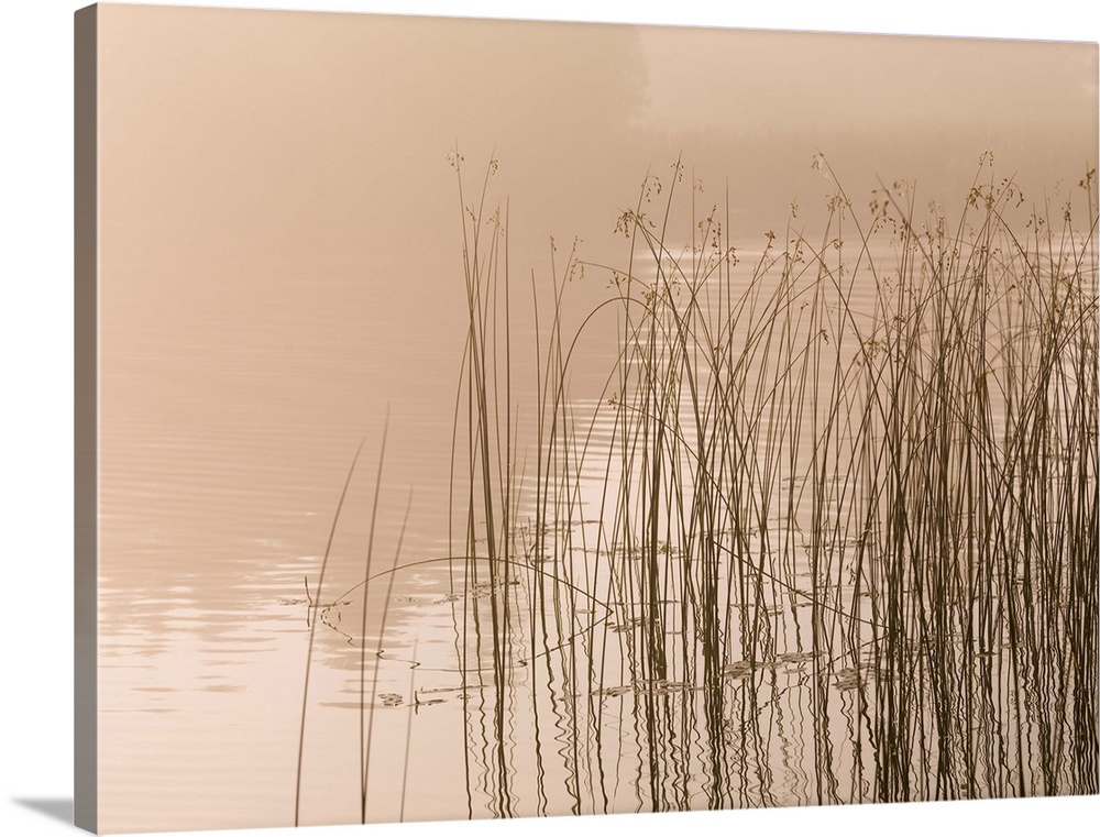 Lake of the Woods, Ontario, Canada, Fog on a lake