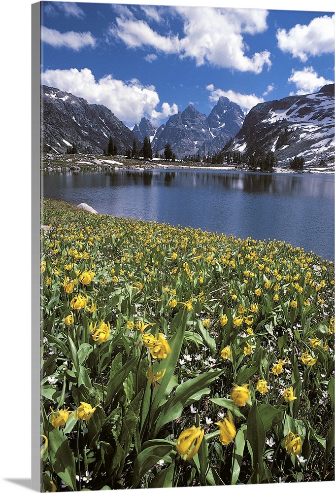 Lake Solitude , Grand Teton National Park , Wyoming