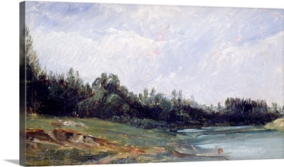 Landscape at the edge of water