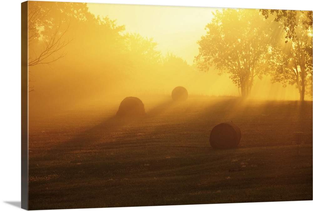 Late summer morning in Missouri.