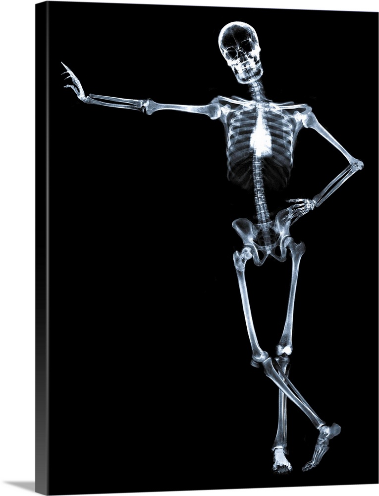 Leaning skeleton against black