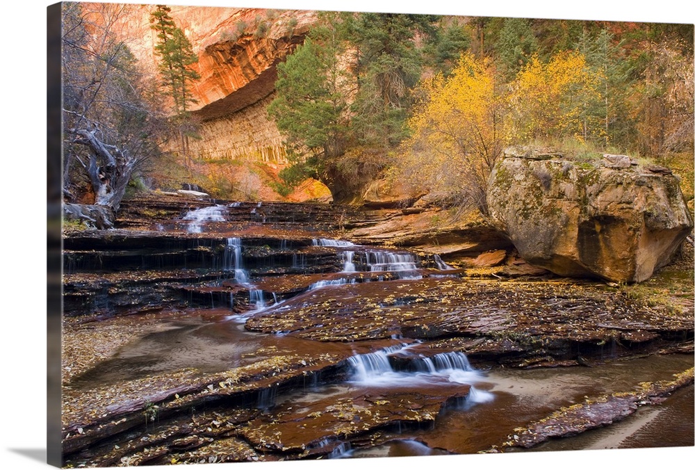 Left Fork of North Creek flowing over red sandstone, Zion National Park, Utah. USA