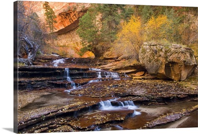 Left Fork of North Creek flowing over red sandstone, Utah