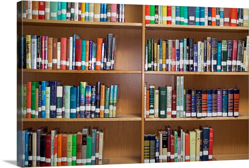 Several rows of books are photographed on library shelves.
