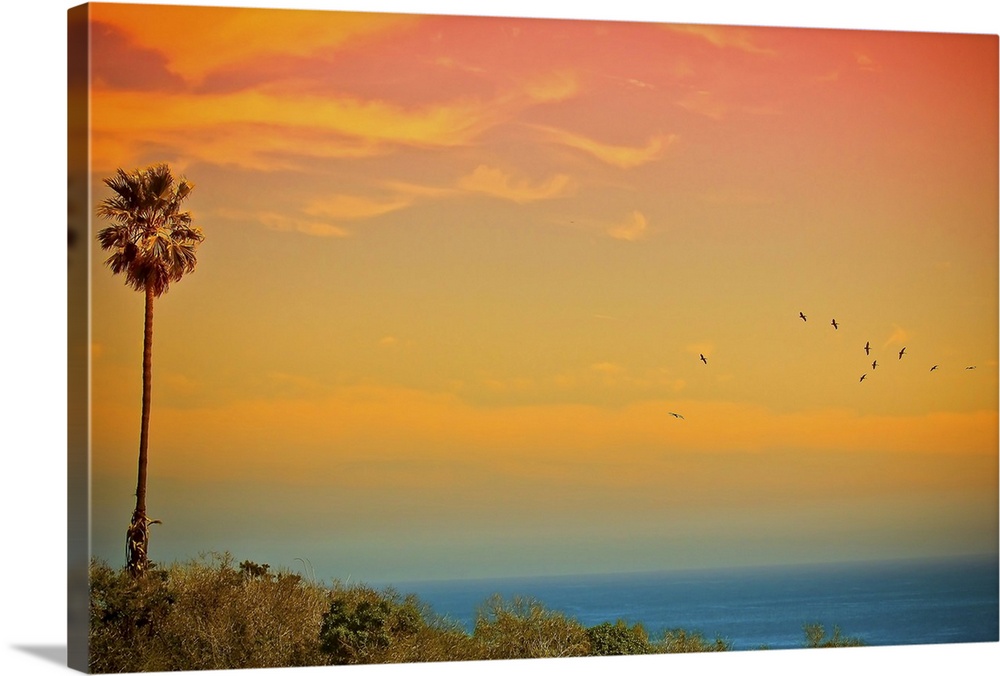 Large canvas print of a beautifully colored sunset over the Pacific Ocean with a palm tree to the left and birds flying on...