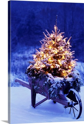 Lighted Christmas Tree In Wheelbarrow