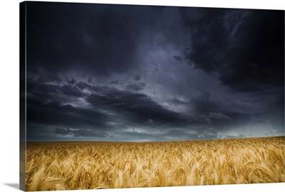 Lightning strike over wheat fields, Australia