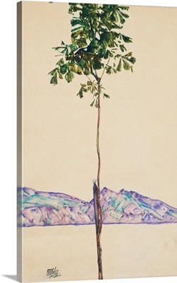 Little Tree (Chestnut Tree At Lake Constance) By Egon Schiele