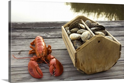 Lobster and crate of clams on dock