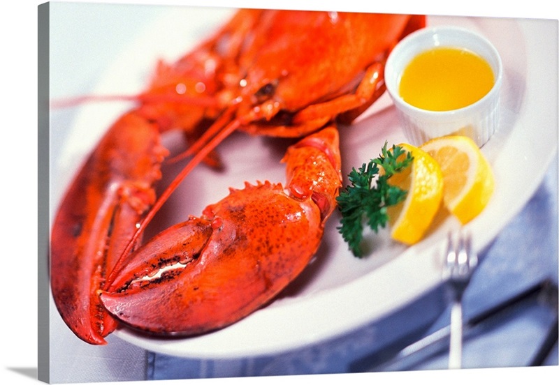 Lobster dinner plate Wall Art, Canvas Prints, Framed Prints, Wall Peels