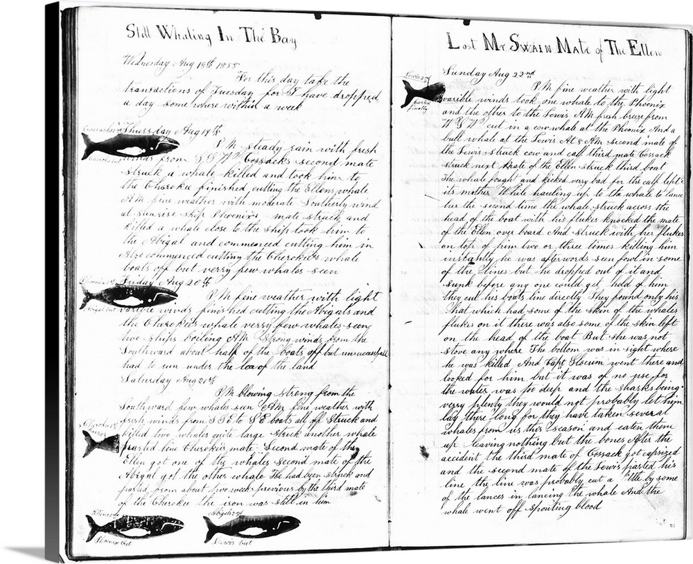 Log book of an American whaling ship, August 1858, describing whale hunt and death of hunters.