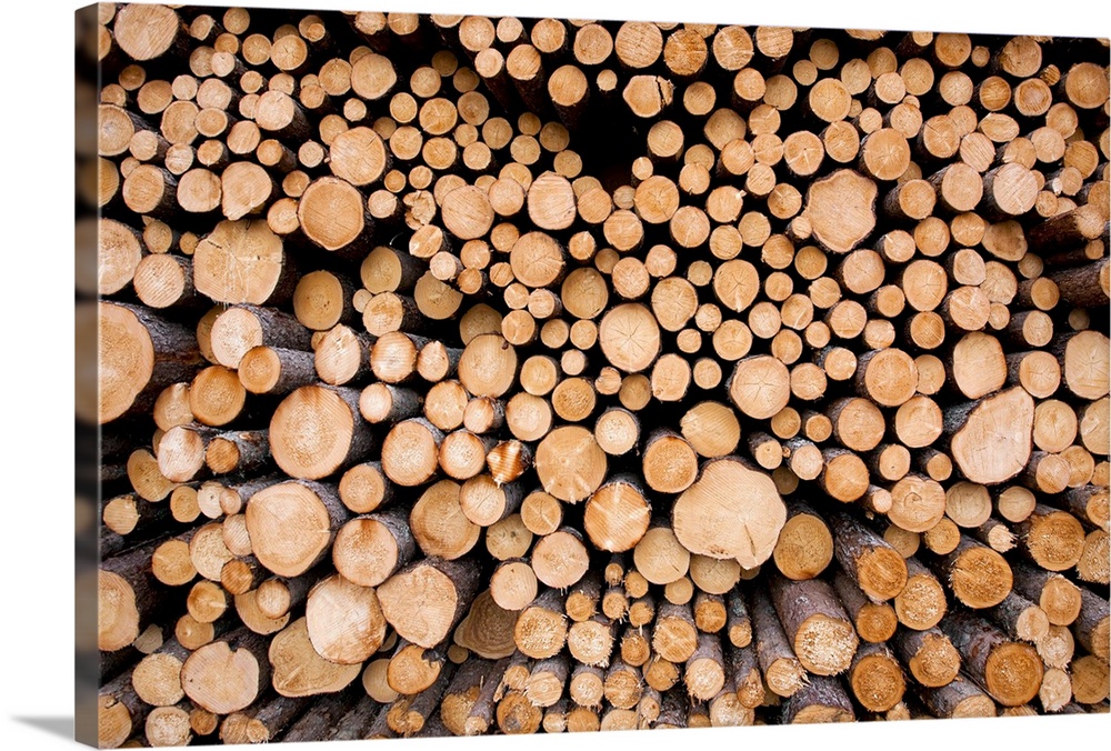 Log Pile At Sawmill, Gulliver, Michigan