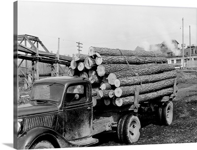 Logging Truck at Sawmill, Franklin, Virginia