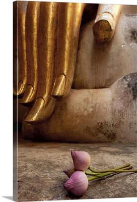Long slender fingers of the Buddha with lily bud Sukhothai, Thailand.