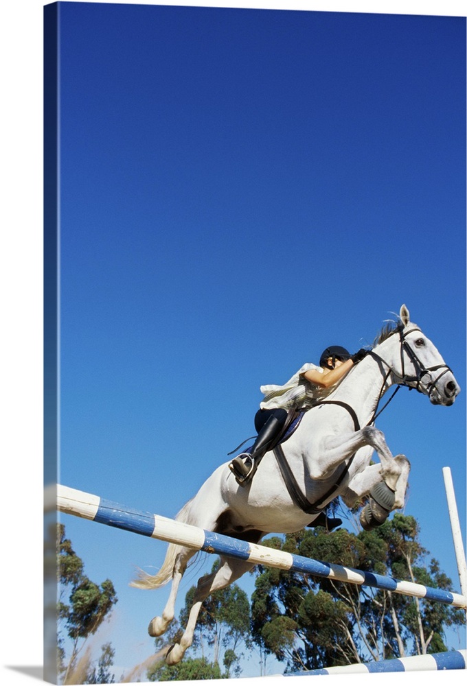 Low angle view of a person riding horse and jumping over a barrier