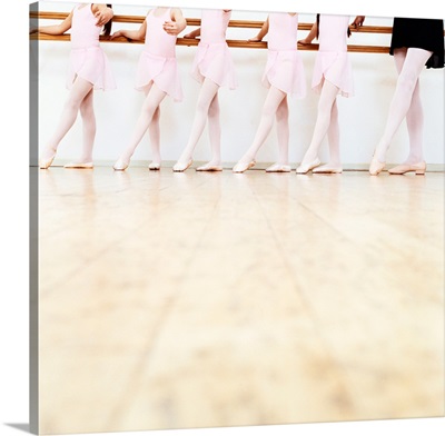 Low Section View of a Line of Young Ballet Dancers Practicing in a Dance Studio