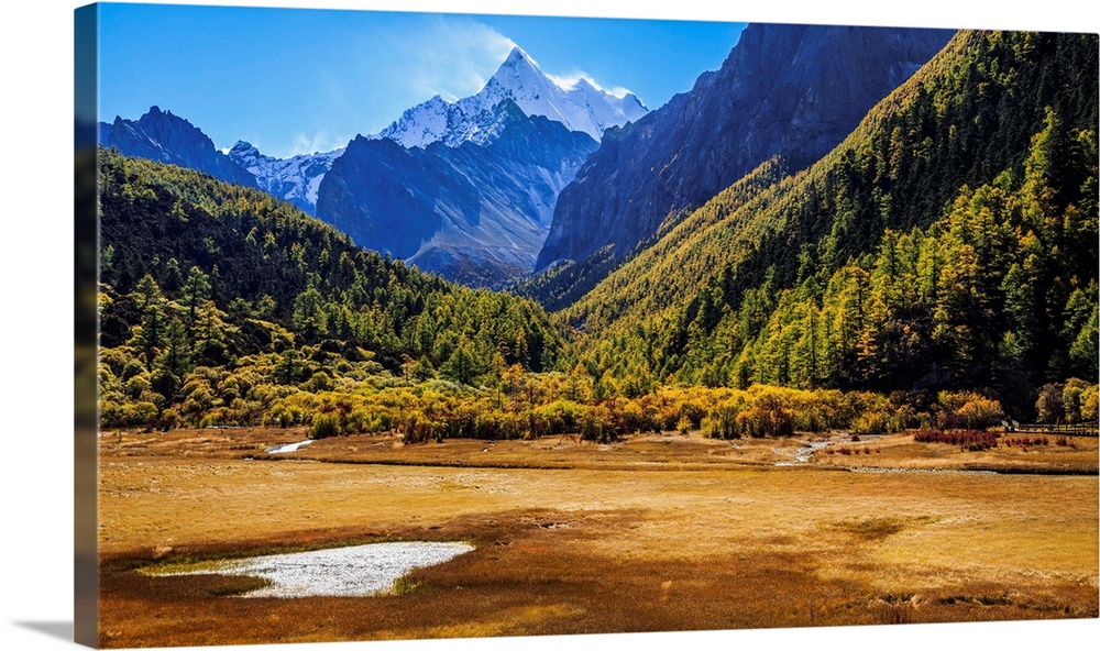 Autumn scenery in Luorong cattle farm, located in Yading Nature Reserve, Daocheng county, Ganzi Tibetan Autonomous Prefect...