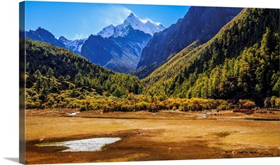 Luorong Cattle Farm, Yading, Sichuan China