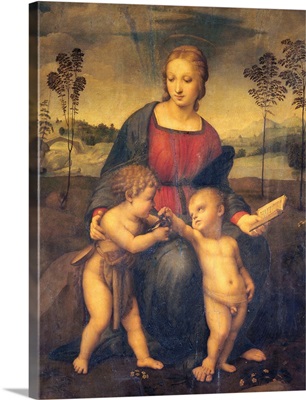 Madonna Of The Goldfinch