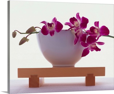 Magenta Orchids In White Bowl