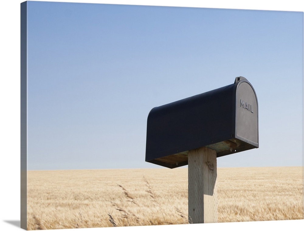 Rural mailbox next to a wheat field.