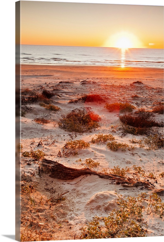 Malaquite Beach sand dunes and Gulf of Mexico at sunrise on Padre Island National Seashore, Texas, USA