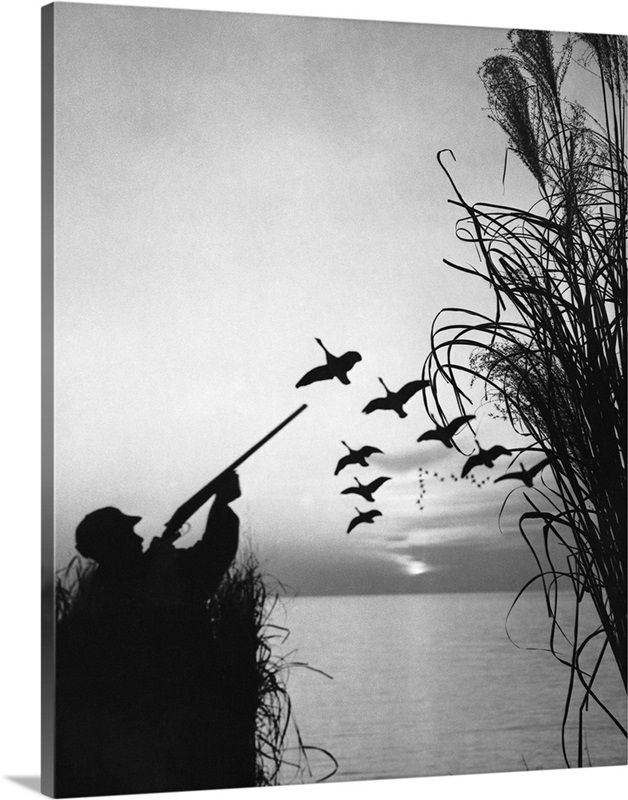 Man duck-hunting Wall Art, Canvas Prints, Framed Prints, Wall Peels