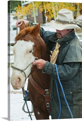 Man Putting Bridle On Horse