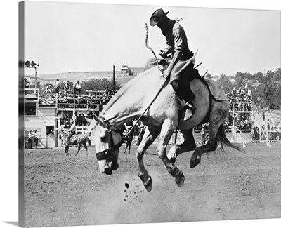 Man riding bucking horse in rodeo