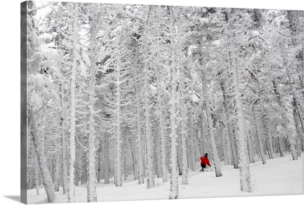 Man Skiing through frost covered forest