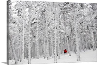 Man skiing through forest