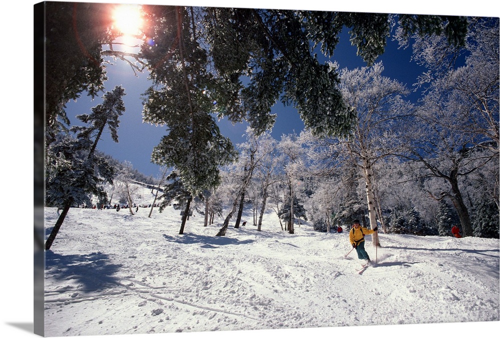 Man telemark skiing