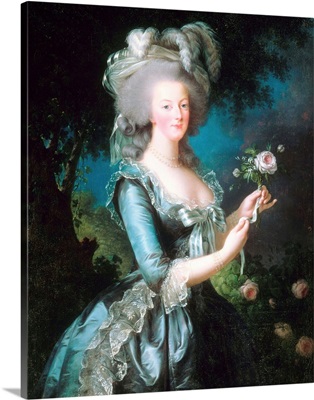 Marie-Antoinette With A Rose
