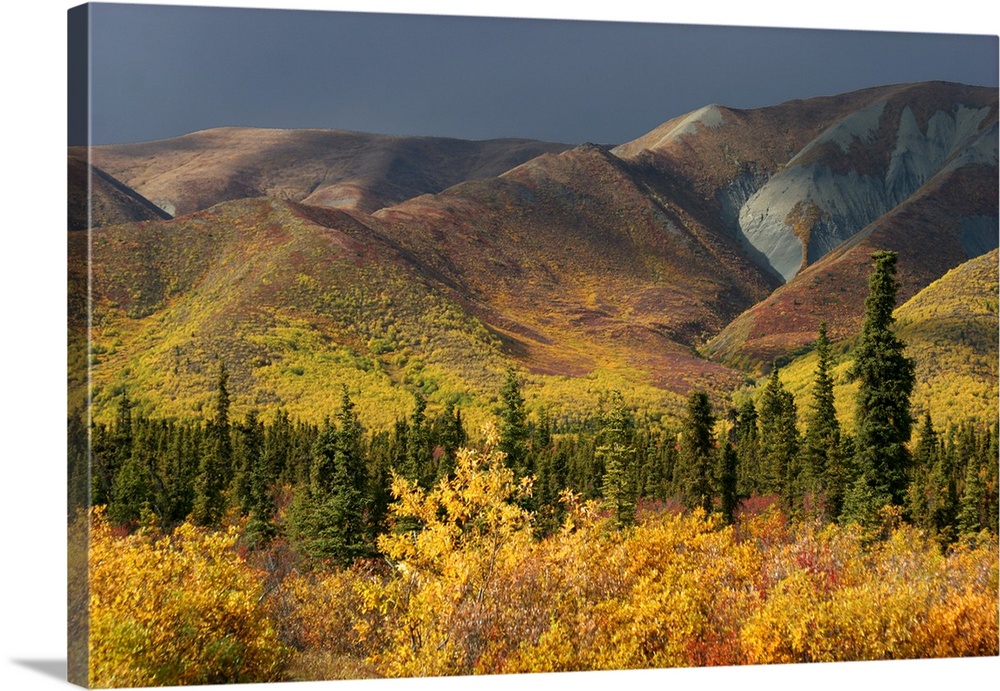 Early autumn on the plateau between the Matanuska and Copper River valleys along the Glenn Highway between Glennallen and ...