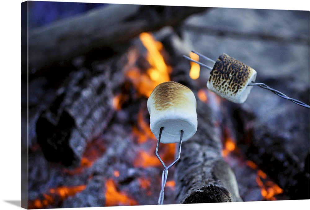 roasting marshmallows over a bonfire on the beach
