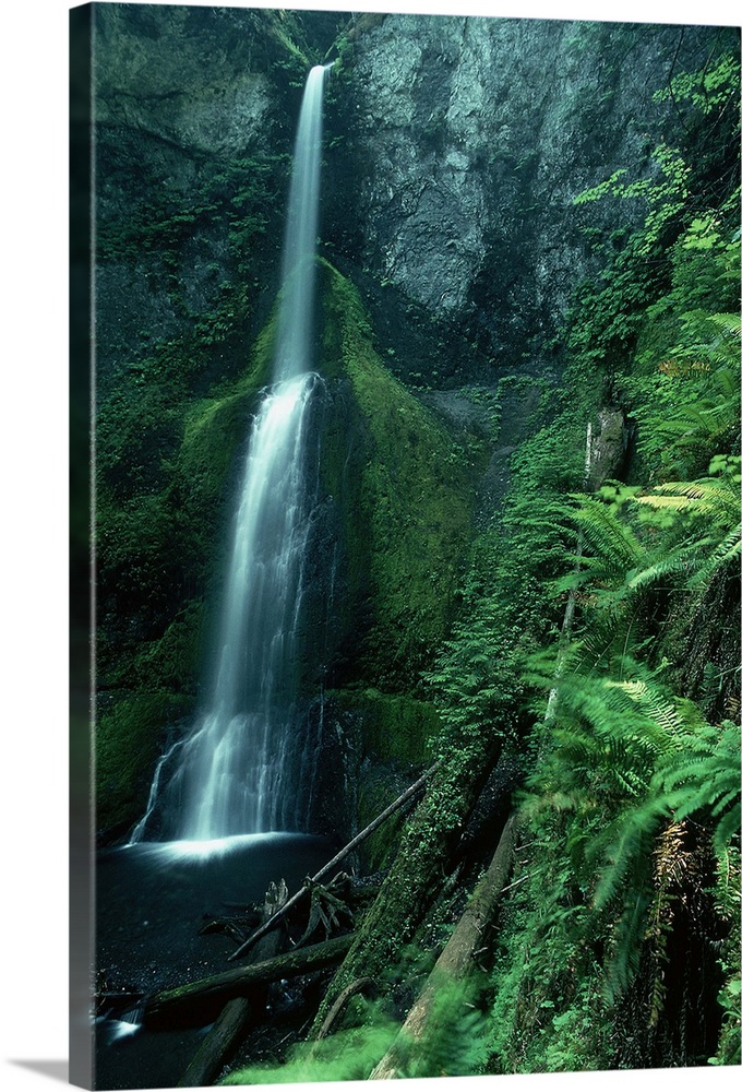 Marymere Falls in Olympic National Park