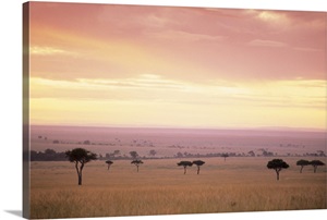 Masai Mara National Park in Kenya , Africa image thumbnail