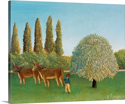 Meadowland By Henri Rousseau