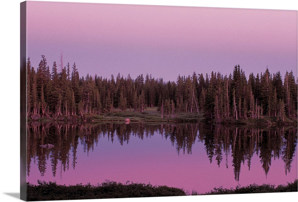 Medicine Bow National Forest , Wyoming