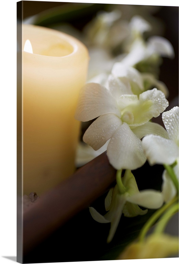 meditation candle in zen atmosphere and white orchids